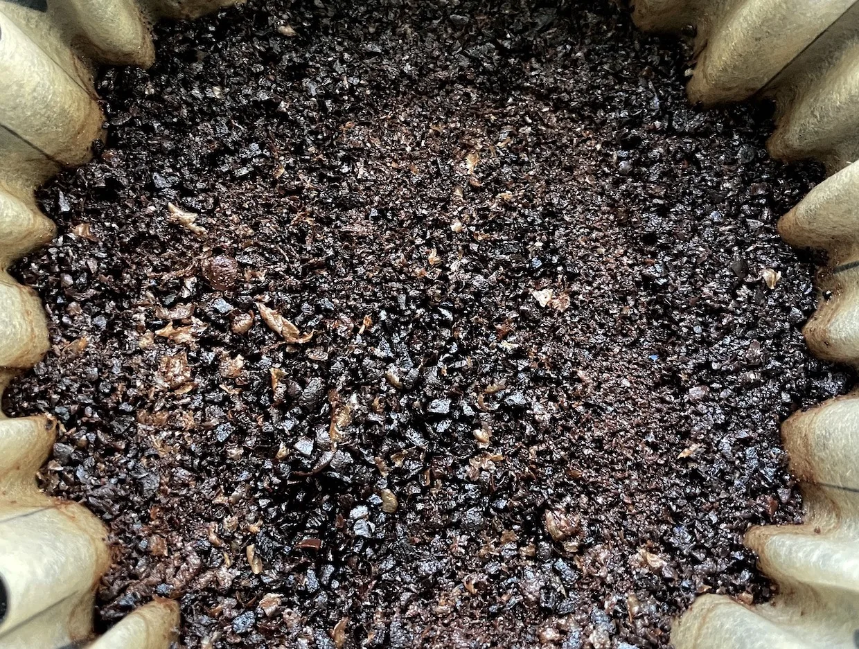 Korean Researchers Turn Wet Coffee Grounds Into Biochar in 90 Seconds